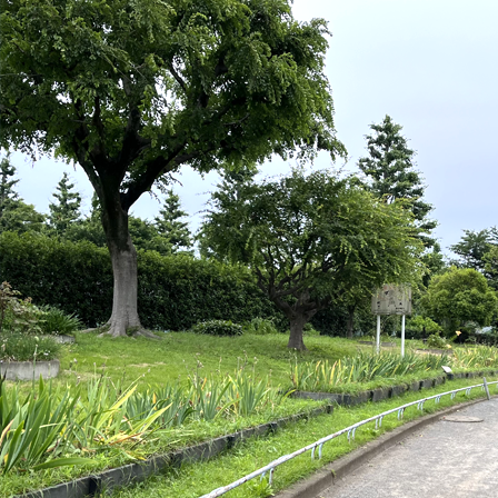 玉川野毛公園